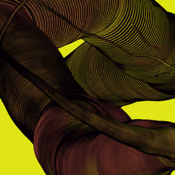 Wormhole #946
