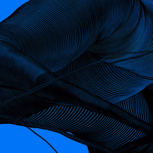 Wormhole #64