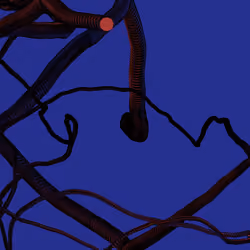Wormhole #1179