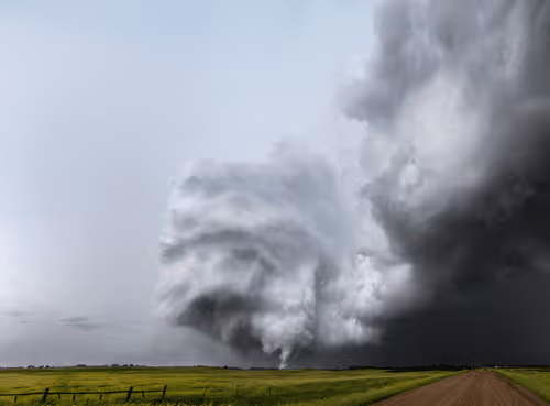 The Meso
