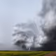 The Meso