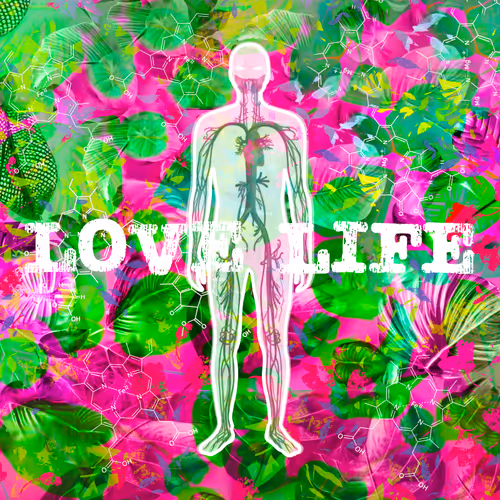 Love Life Fuck The Bombs