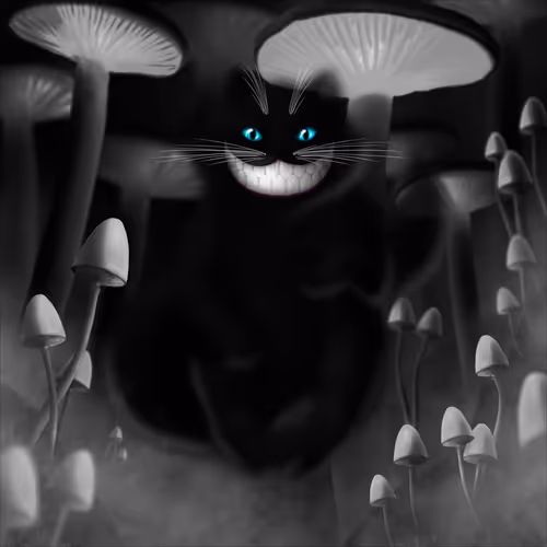 Item #211944777535028716369961780250938818839467439264 Media