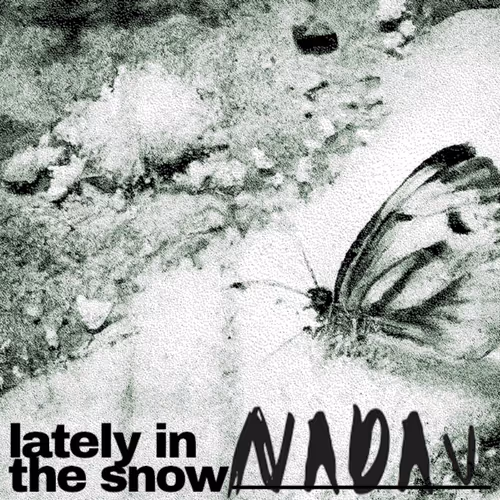 Nadav Lately In The Snow