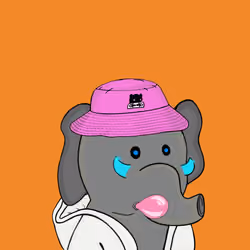 Baby Elephants Squad #591
