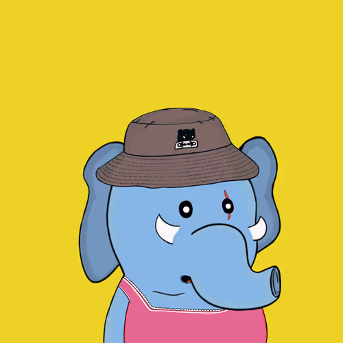 Baby Elephants Squad
