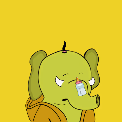 Baby Elephants Squad