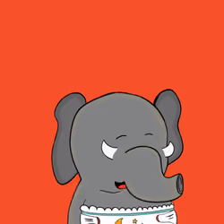 Baby Elephants Squad #67