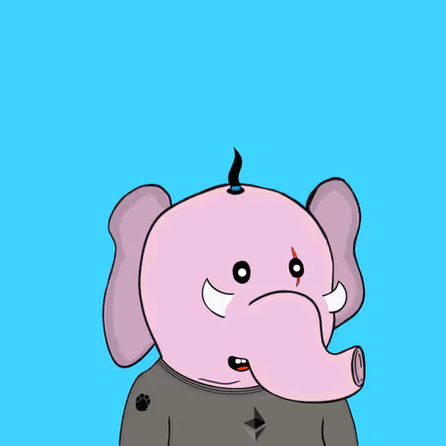 Baby Elephants Squad