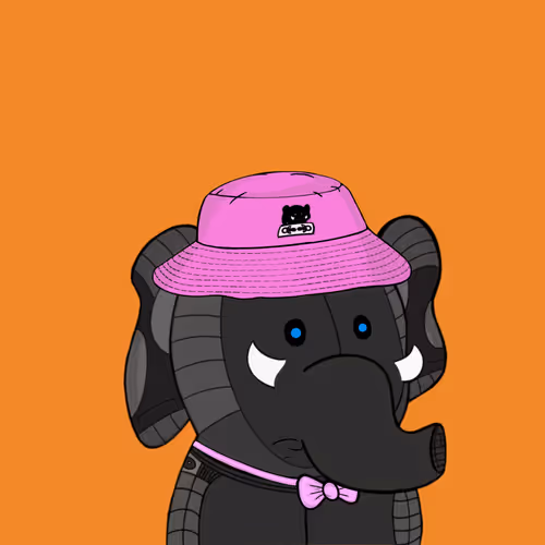 Baby Elephants Squad