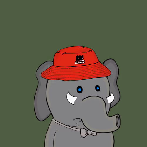 Baby Elephants Squad
