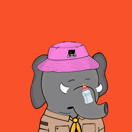 Baby Elephants Squad