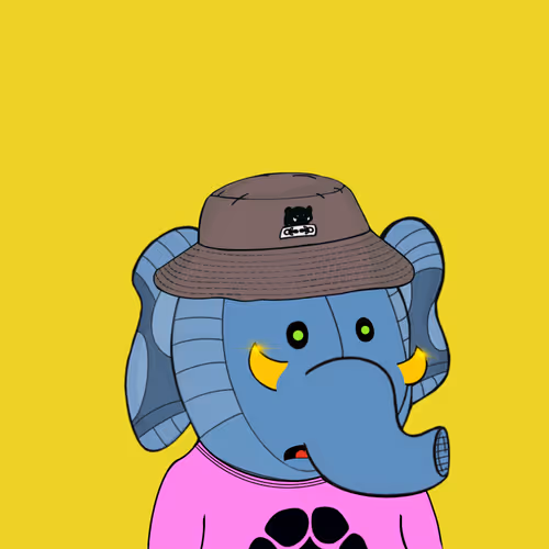 Baby Elephants Squad