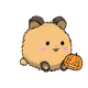 1116