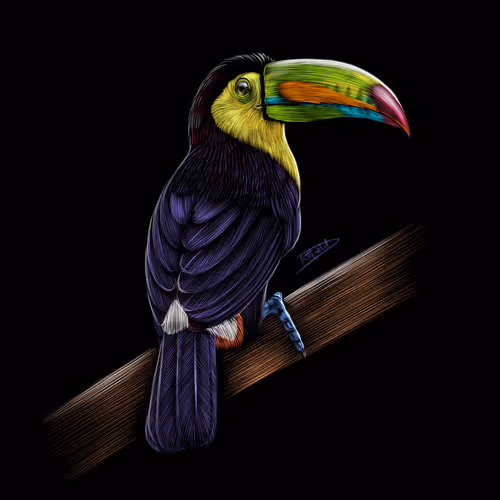 Nature Studies 1