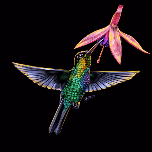 Nature Studies 1