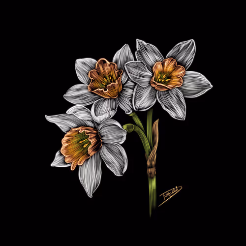 Nature Studies 1