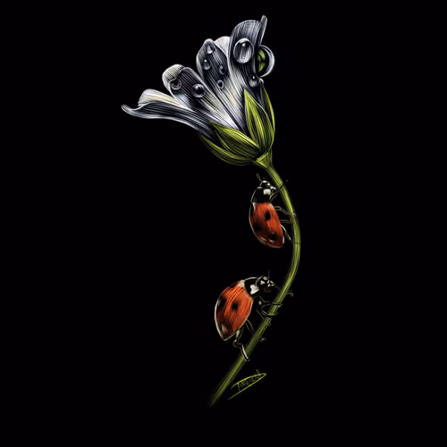 Nature Studies 1