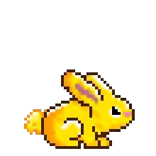 Gold Rabbit