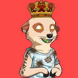 Meta Meerkat Club Male #1686