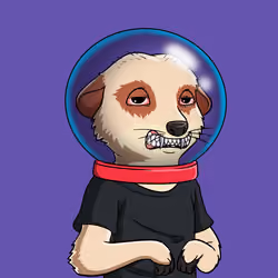 Meta Meerkat Club Male #265