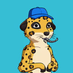 Meta Meerkat Club Male #653
