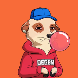 Meta Meerkat Club Male #3367