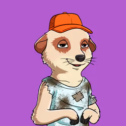 Meta Meerkat Club Male #1371