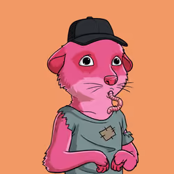 Meta Meerkat Club Male #528