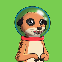 Meta Meerkat Club Male #2533