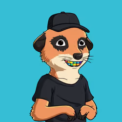 Meta Meerkat Club Male #2447