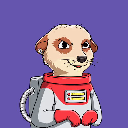Meta Meerkat Club Official