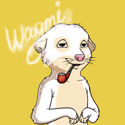Meta Meerkat Club Male #1372