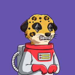 Meta Meerkat Club Male #1681