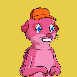 Meta Meerkat Club Male #3808