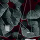 Geometry of Thought