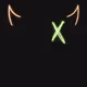 46