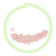 1529