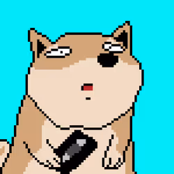 3037