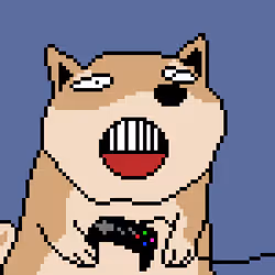 5551