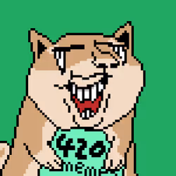 503