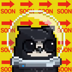 SoonBird #1337