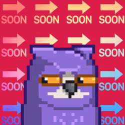 SoonBird #2017