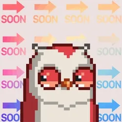 SoonBird #1855