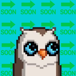 SoonBird #1033