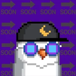 SoonBird #694