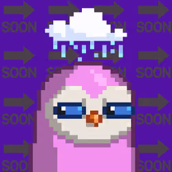 SoonBird #1013