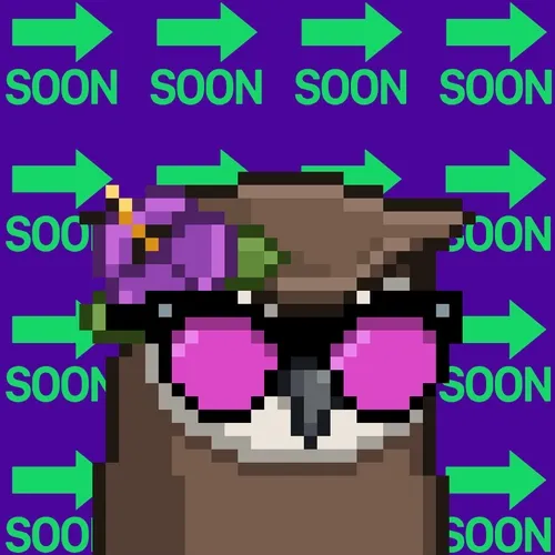Soonbirds