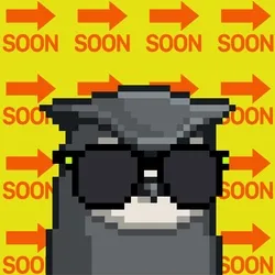 SoonBird #957