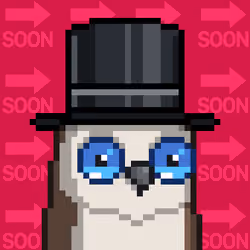 SoonBird #488